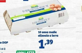 In'S Mercato Uova offerta