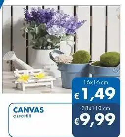 Canvas assortiti