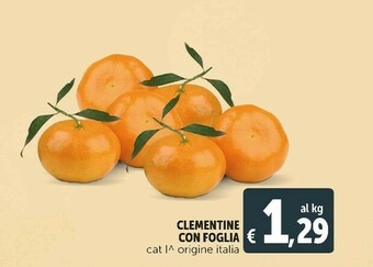 Deco Supermercati Clementine con foglia offerta