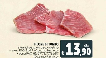 Deco Supermercati Filone di tonno a tranci pescato decongelato offerta