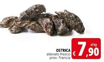 Deco Supermercati Ostrica allevato fresco offerta