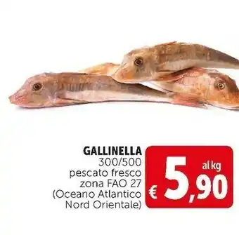 Deco Supermercati Pescato fresco gallinella offerta