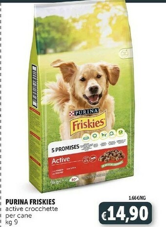 Deco Supermercati Cibo per cani offerta
