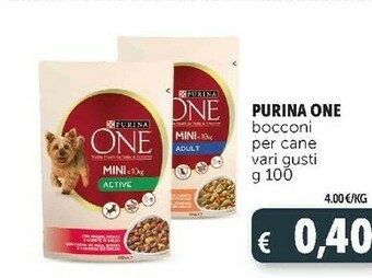 Deco Supermercati Cibo per cani offerta
