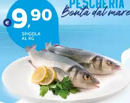 Extra Supermercati Spigola offerta