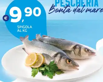 Extra Supermercati Spigola offerta