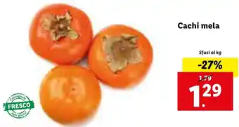 Lidl Cachi mela offerta