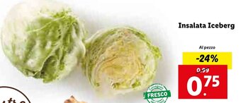 Lidl Insalata Iceberg offerta