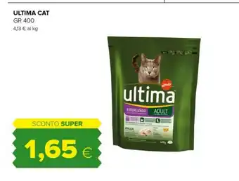 Tigre Cat adult offerta