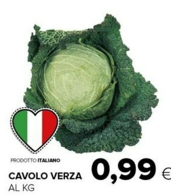 Tigre Cavolo verza offerta