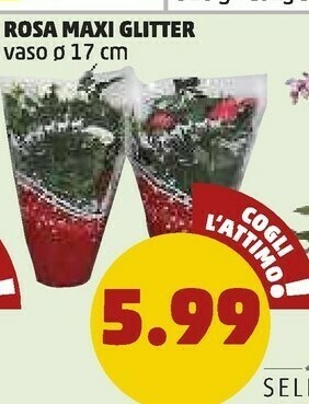 PENNY Rosa maxi glitter offerta