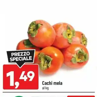 DPiù Chachi mela offerta