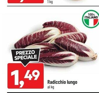 DPiù Radicchio lungo offerta