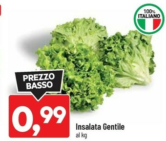 DPiù Insalata gentile offerta