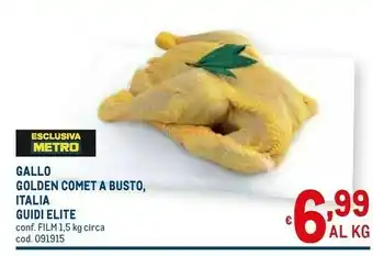 Metro Golden comet a busto italia guidi elite offerta