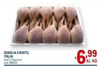 Quaglia a busto, italia