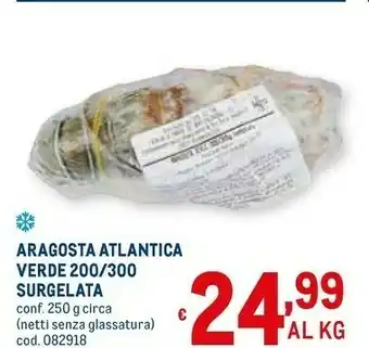 Aragosta atlantica verde surgelata