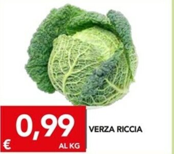TuoDi Verza Riccia offerta