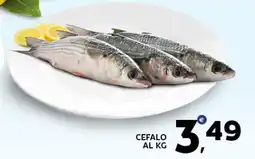 Extra Supermercati Cefalo offerta