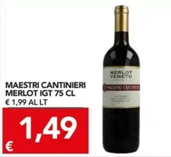 TuoDi Maestri Cantinieri Merlot IGT 75cl offerta