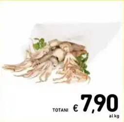 Spazio Conad Totani offerta