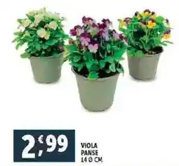 Deco Supermercati Viola panse 140 cm offerta