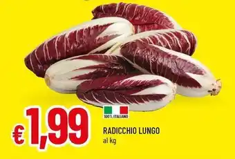 Famila Superstore Radicchio lungo offerta