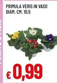 Famila Superstore Primula veris in vaso offerta