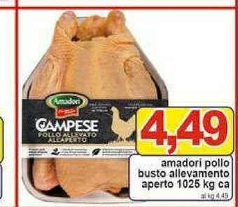 Pewex Pollo offerta
