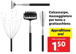 Lidl Calzascarpe, massaggiatore per testa o grattaschiena offerta