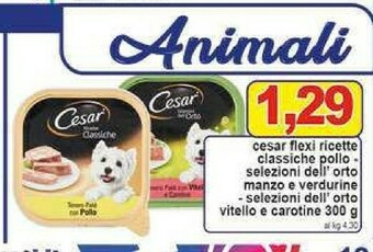 Pewex Cibo per cani offerta