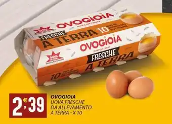 Sisa Ovogioia uova fresche da allevamento a terra-x 10 offerta