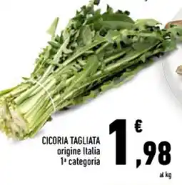Conad Cicoria tagliata offerta