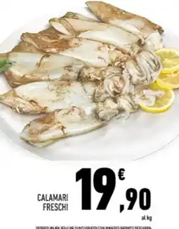 Conad Calamari freschi offerta