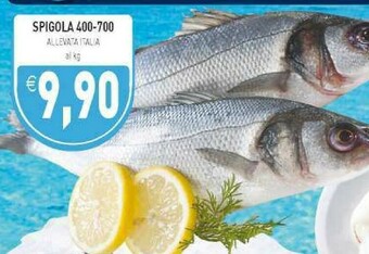 Pim Supermercati Pesce offerta