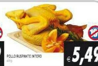 Supermercati Agorà Pollo offerta