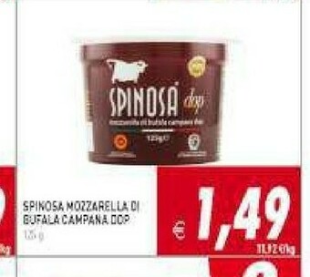 Supermercati Agorà Mozzarella di bufala offerta
