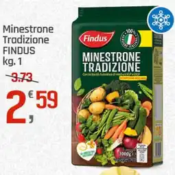 Supermercati Dok Minestrone Tradizione FINDUS offerta