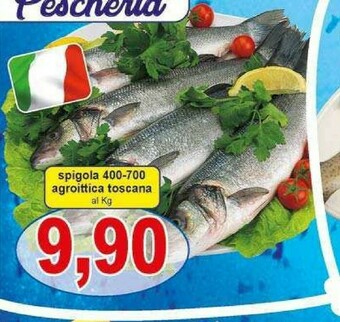 Pewex Orata offerta