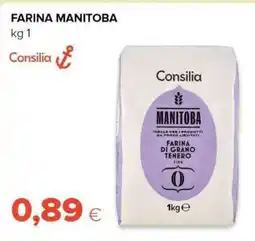 Tigre Farina manitoba offerta