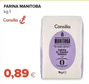 Tigre Farina manitoba offerta