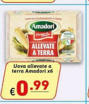 Ipercarni Uova offerta