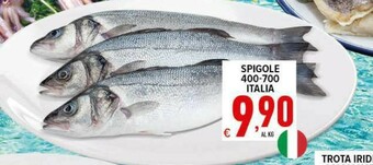 Iper Triscount Pesce offerta