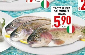 Iper Triscount Pesce offerta