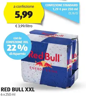 ALDI Red bull xxl offerta