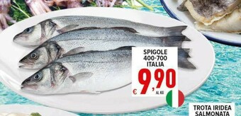 Iper Triscount Pesce offerta