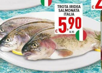 Iper Triscount Pesce offerta