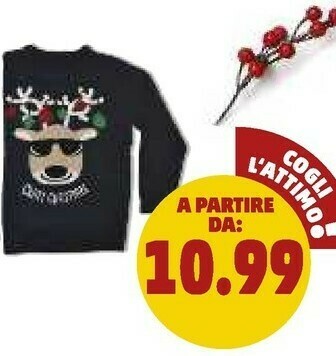 PENNY Maglione natale uomo e donna offerta