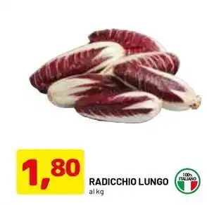 DPiù Radicchio lungo offerta