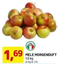 DPiù Mele morgenduft offerta